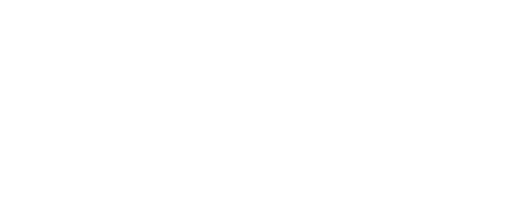 Mangelberger Logo light