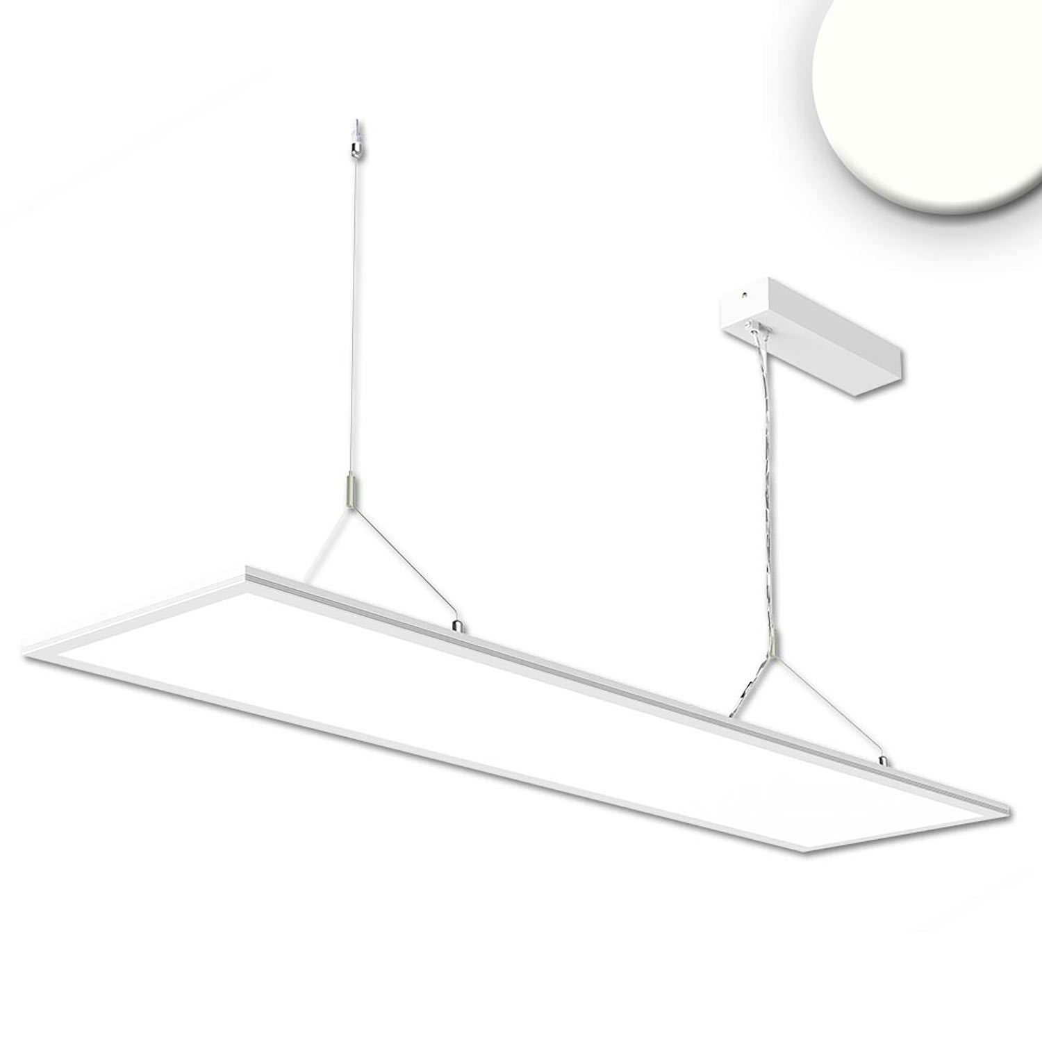LED Office Hängeleuchte Up&Down, 20W+20W, 30x120cm, weiß, UGR<19, 4000K, DALI dimmbar