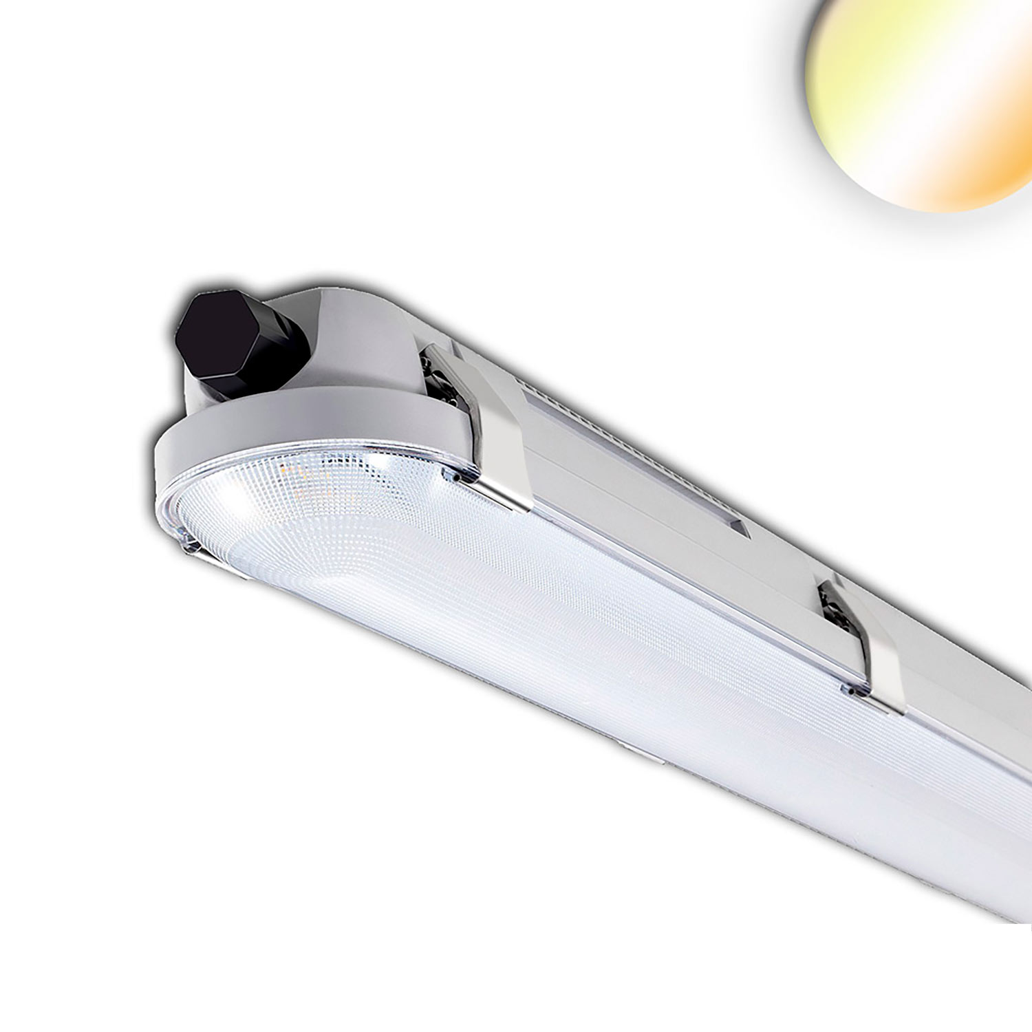 LED Wannenleuchte 120cm, IP65, PowerSwitch 25-40W, ColorSwitch 3000|4000|5000K